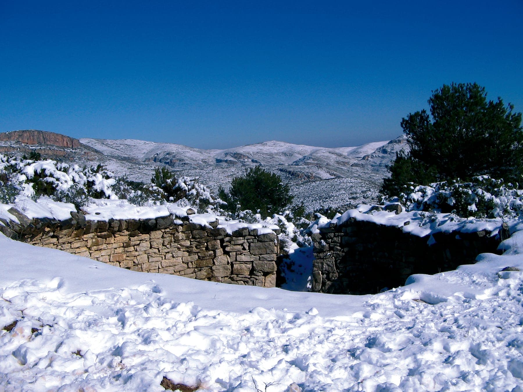 La sierra nevada, con un muro de piedra seca en primer plano y el pinar cubierto de nieve al fondo